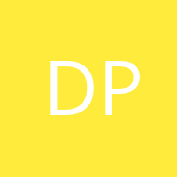 Dan Peknik